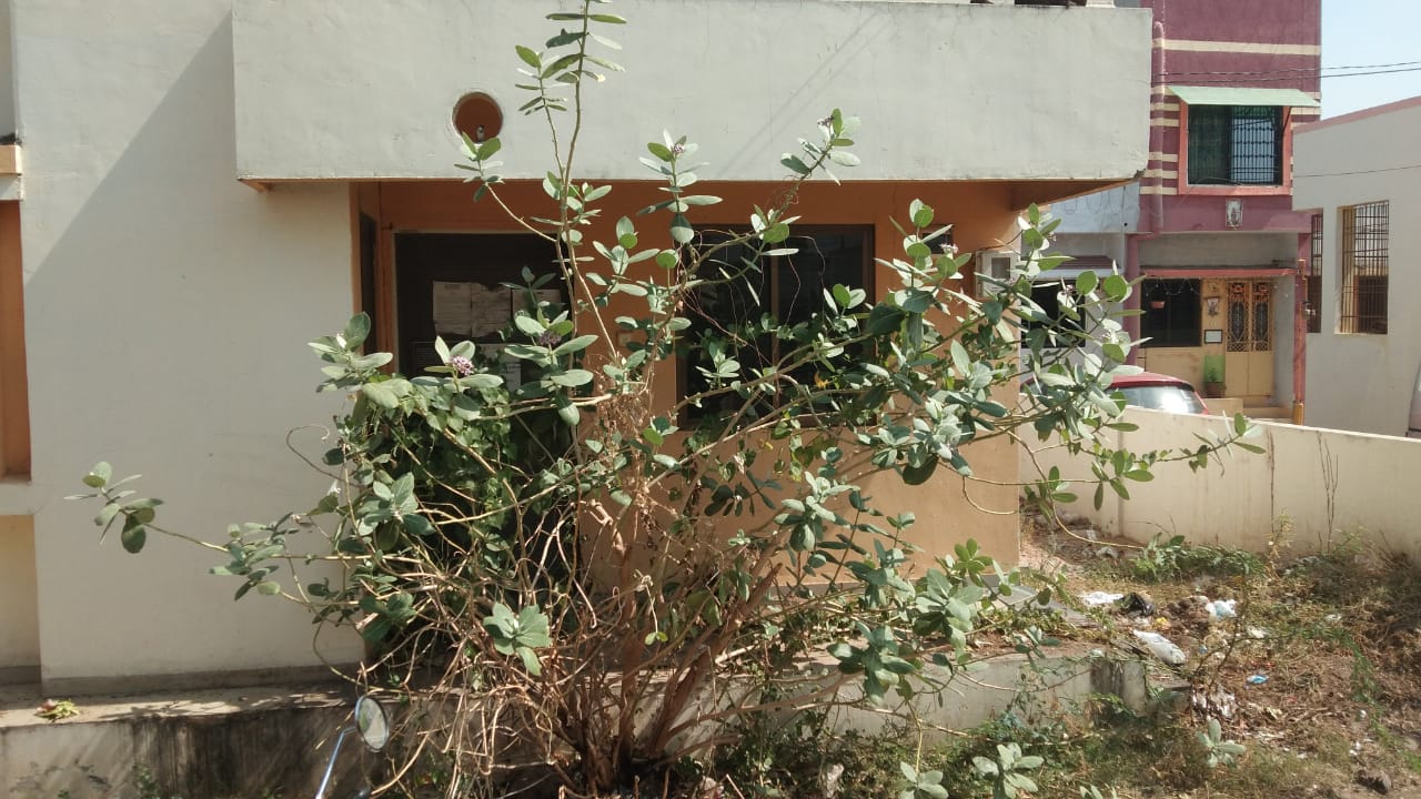 HOUSE FRONT