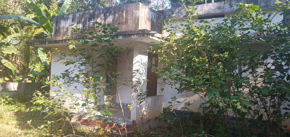 VIEW FROM ROAD