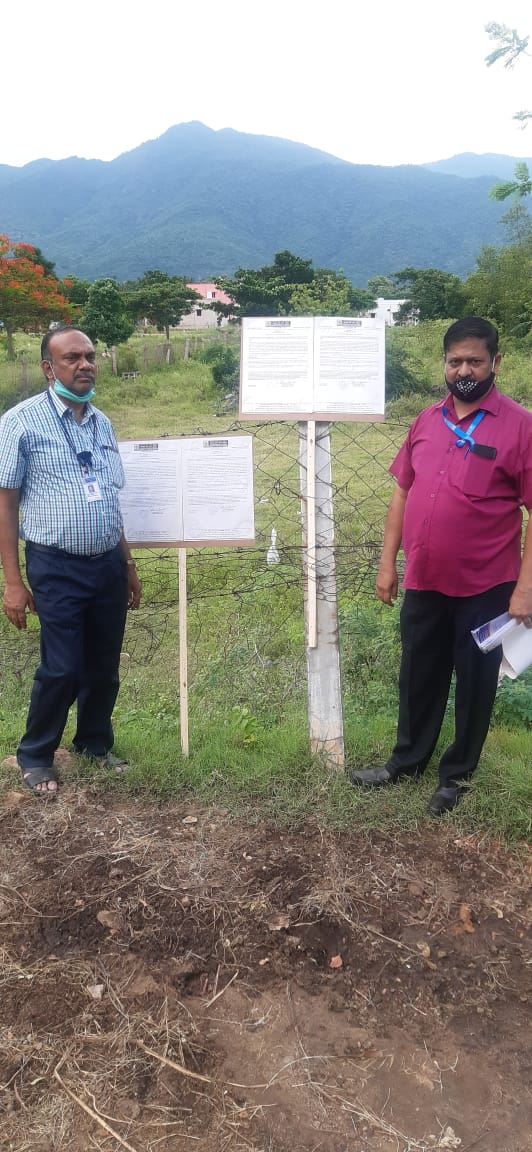 PLOT VIEW
