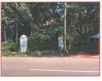 VIEW FROM ROAD
